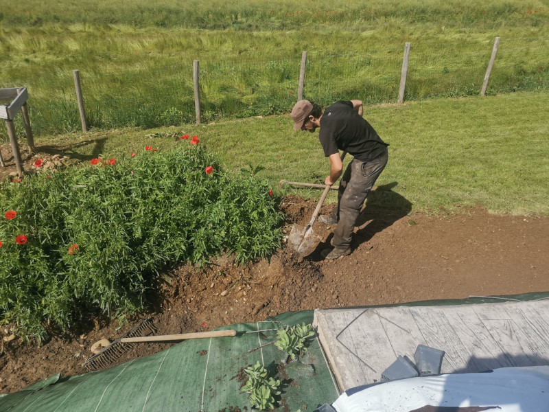 Photo de plantation sur bâche