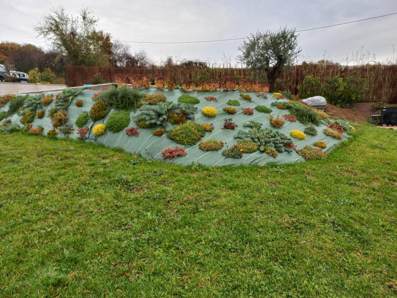 Photo de plantation sur bâche