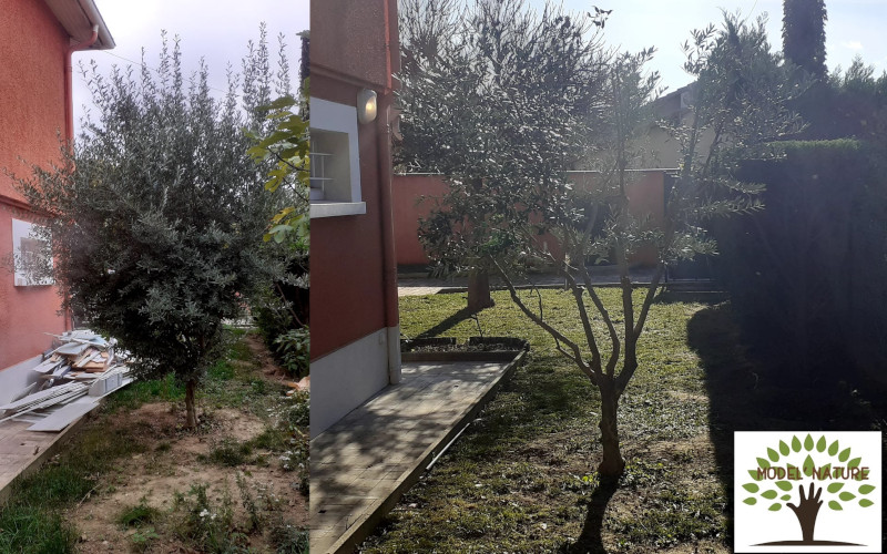 Photo taille et soin des arbres